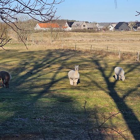 Attefallshus Naera Havet Norranaes Varberg Exterior foto